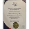 Buy degree from the Instituto Tecnológico de Santo Domingo