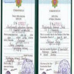 Buy Degree From the State Energy Institute of Turkmenistan
