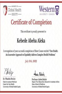 buy degree from the University of Global Health Equity