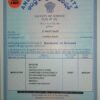 Buy college degree from The Andhra University