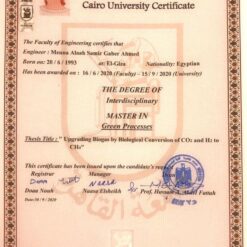 Buy college degree from The American University in Cairo