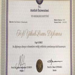 Buy college degree from the Atatürk Üniversitesi
