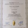 Buy college degree from the Çukurova Üniversitesi