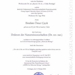 Buy college degree from the Georg-August-Universität Göttingen