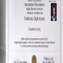 Buy college degree from the  Hacettepe Üniversitesi
