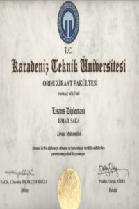 Buy college degree from the Karadeniz Teknik Üniversitesi