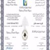Buy college degree from The  Lebanese American University
