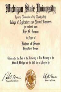 Buy college degree from The Michigan State University