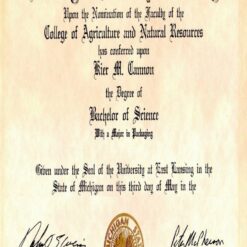 Buy college degree from The Michigan State University