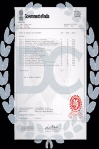 Buy college degree from the Naresuan University