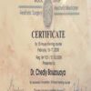 Buy college degree from the New Bulgarian University