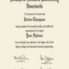 Buy college degree from The Southern Illinois University Edwardsville