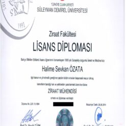 Buy college degree from the Süleyman Demirel Üniversitesi