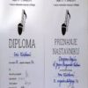Buy college degree from The Sveucilište Josipa Jurja Strossmayera u Osijeku