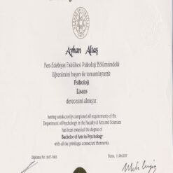 Buy college degree from the Uludag Üniversitesi