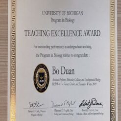 Buy college degree from The University of Michigan