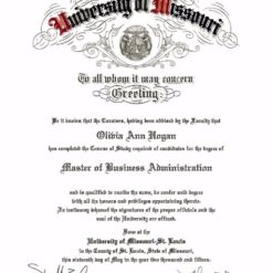 Buy college degree from The University of Missouri-St. Louis