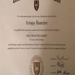Buy college degree from The University of Saskatchewan