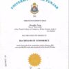 Buy college degree from the University of the Punjab