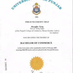 Buy college degree from the University of the Punjab
