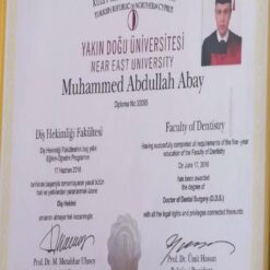Buy college degree from The Yakin Dogu Üniversitesi