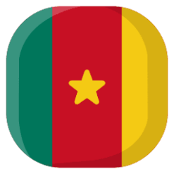 cameroon universities